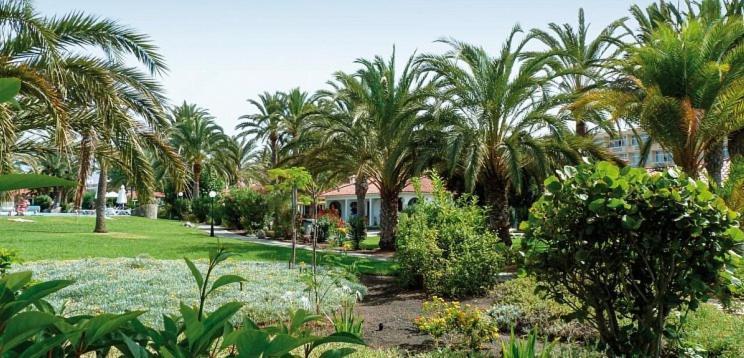 Sun Club P65 Premium Bungalow Maspalomas  Exterior foto